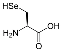 Лонгриды: Протеомика: зачем изучать белки и как это делать