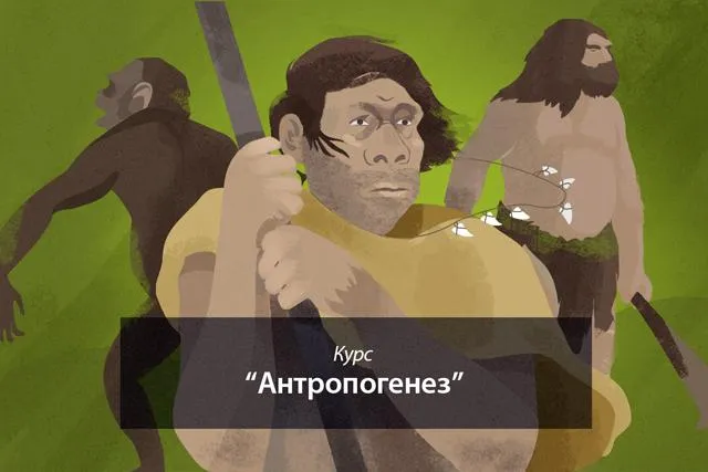 Лонгриды: Неандертальцы: как они жили и почему исчезли