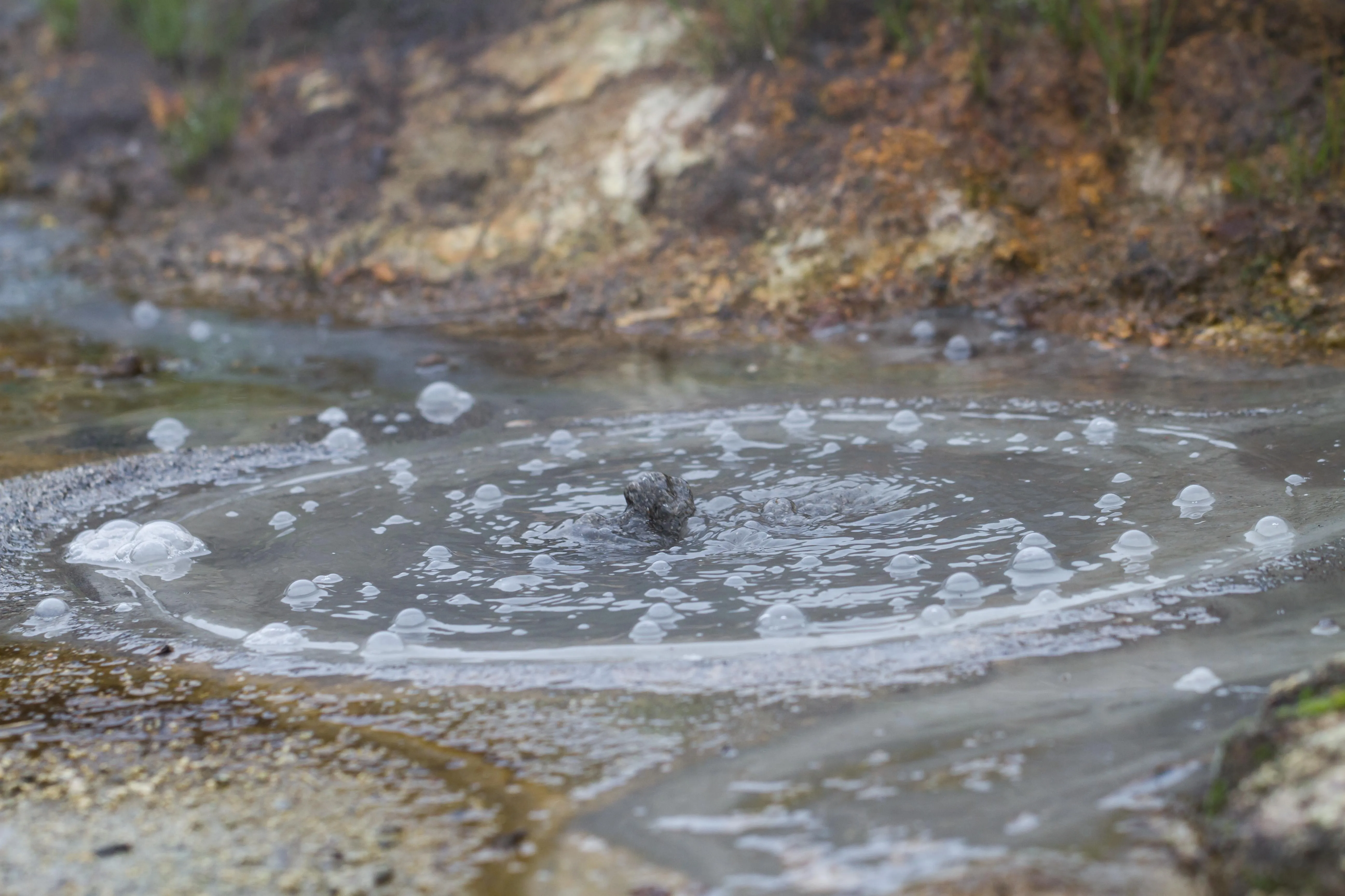 Грязевой котел