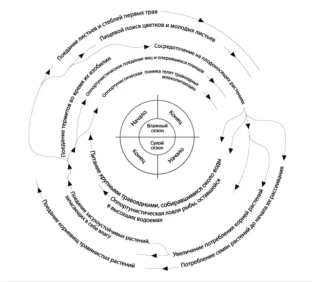 Лонгриды: Главы | Как получить новое, унаследовав старое?