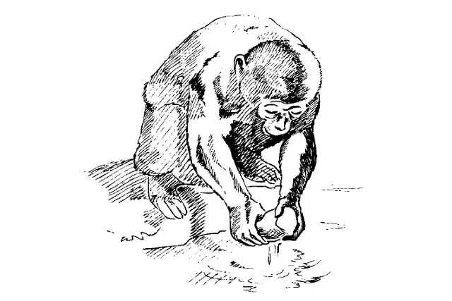 Лонгриды: Главы | Как получить новое, унаследовав старое?