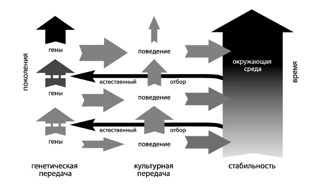 Лонгриды: Главы | Как получить новое, унаследовав старое?