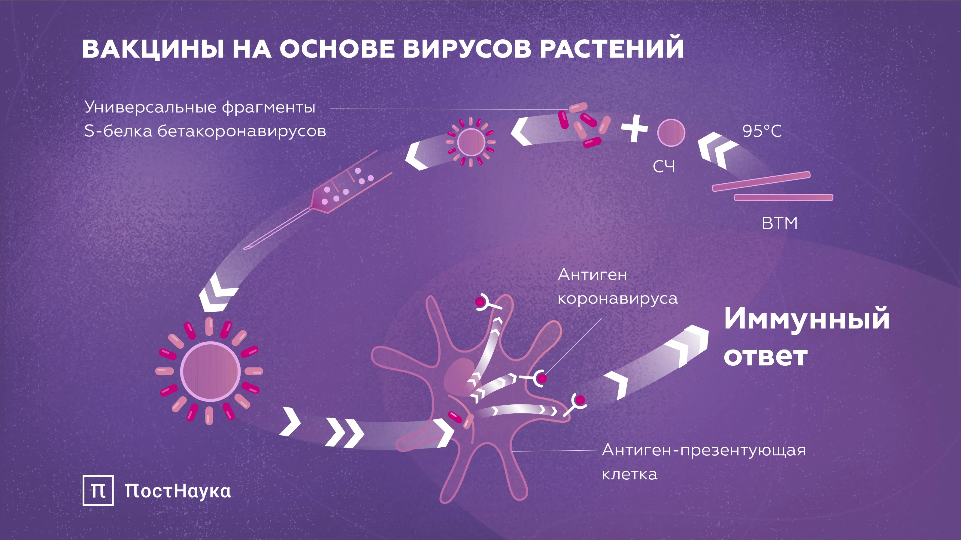 Вакцины на основе вирусов растений