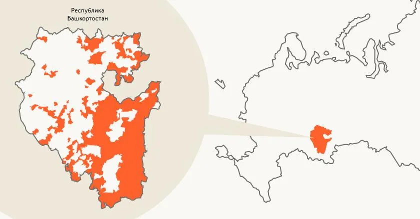 Лонгриды: Башкирский язык