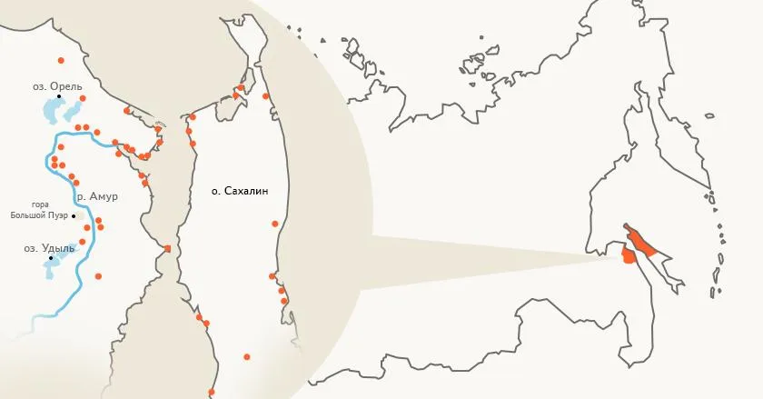 Лонгриды: Нивхский язык