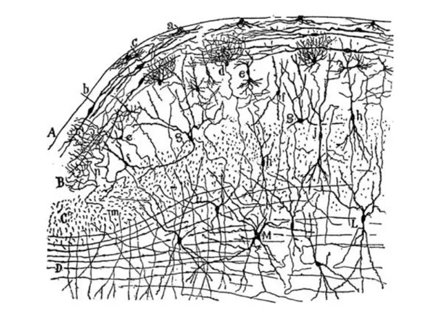 Лонгриды: Главы | Наше восприятие мира – это фантазия, совпадающая с реальностью