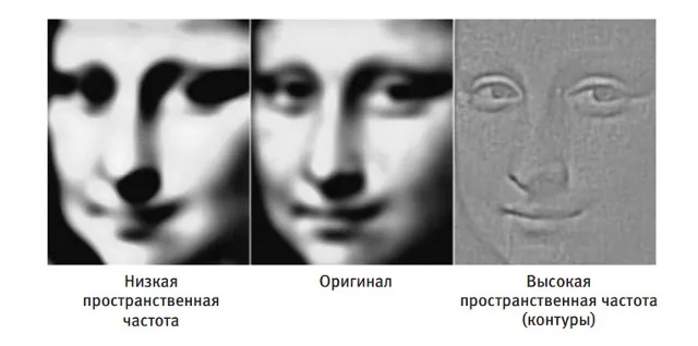 Лонгриды: Главы | Наше восприятие мира – это фантазия, совпадающая с реальностью