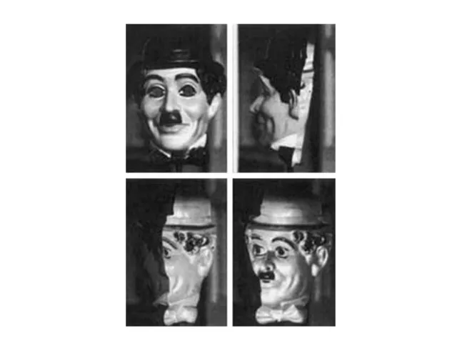 Лонгриды: Главы | Наше восприятие мира – это фантазия, совпадающая с реальностью