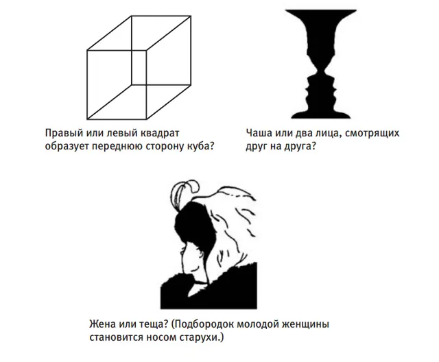 Лонгриды: Главы | Наше восприятие мира – это фантазия, совпадающая с реальностью