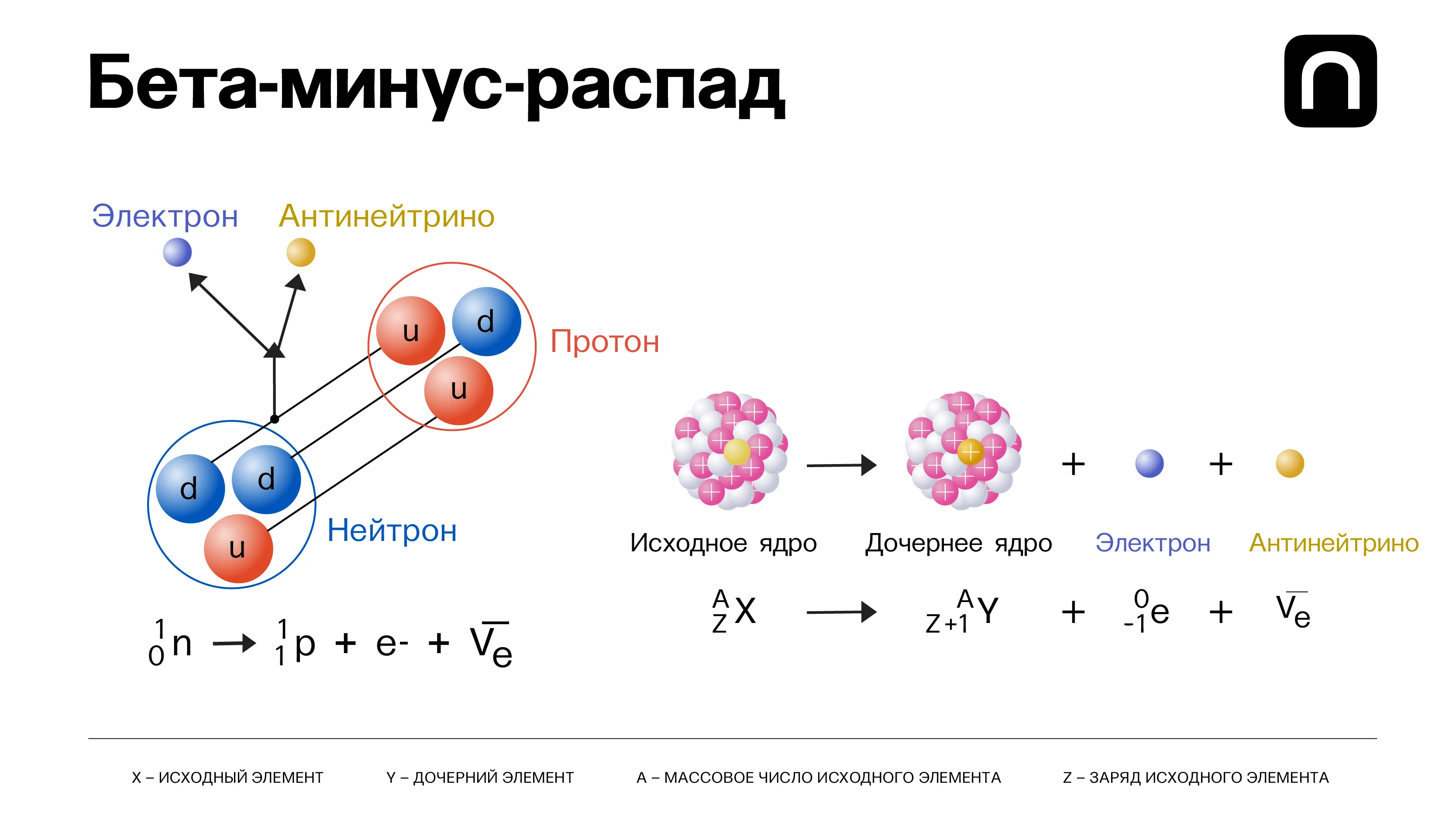 Катя Золотарева для ПостНауки
