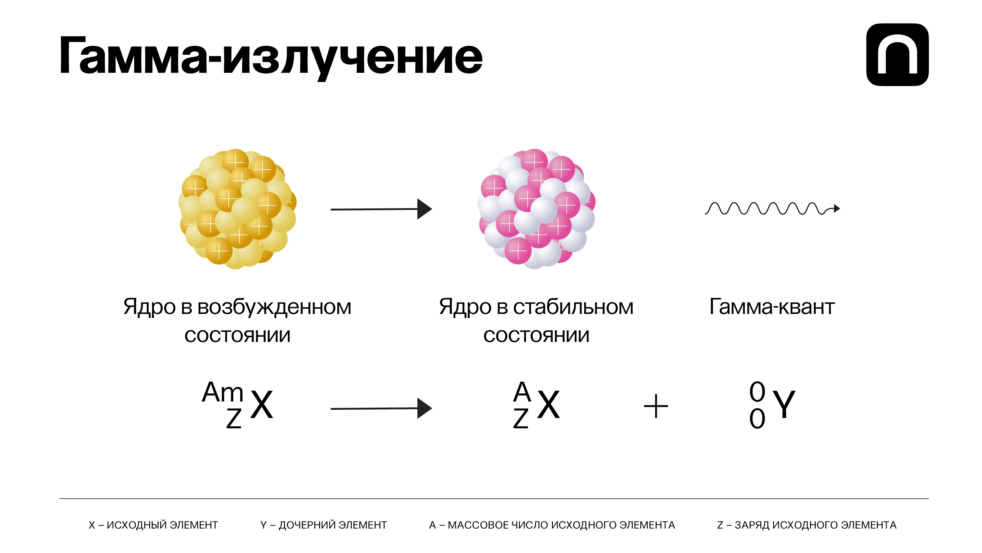 Катя Золотарева для ПостНауки