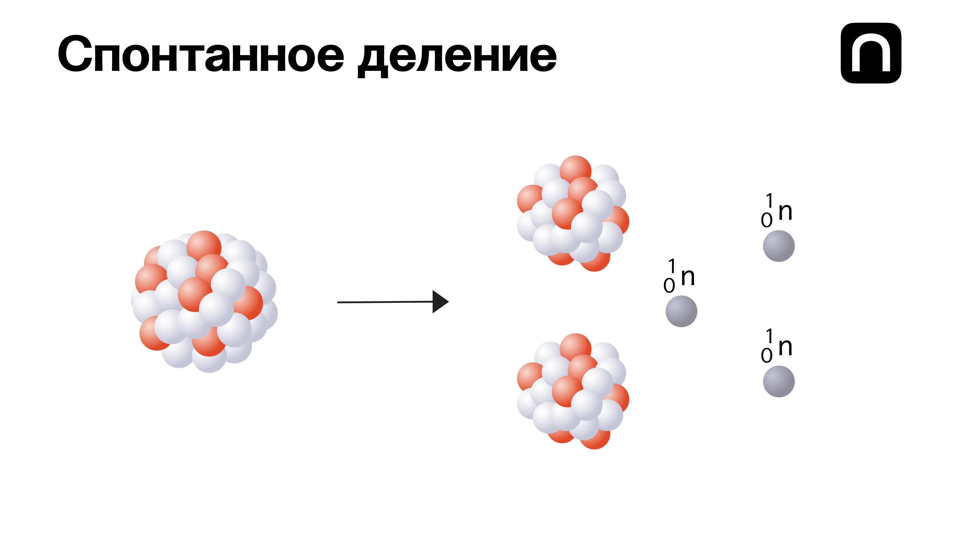 Катя Золотарева для ПостНауки