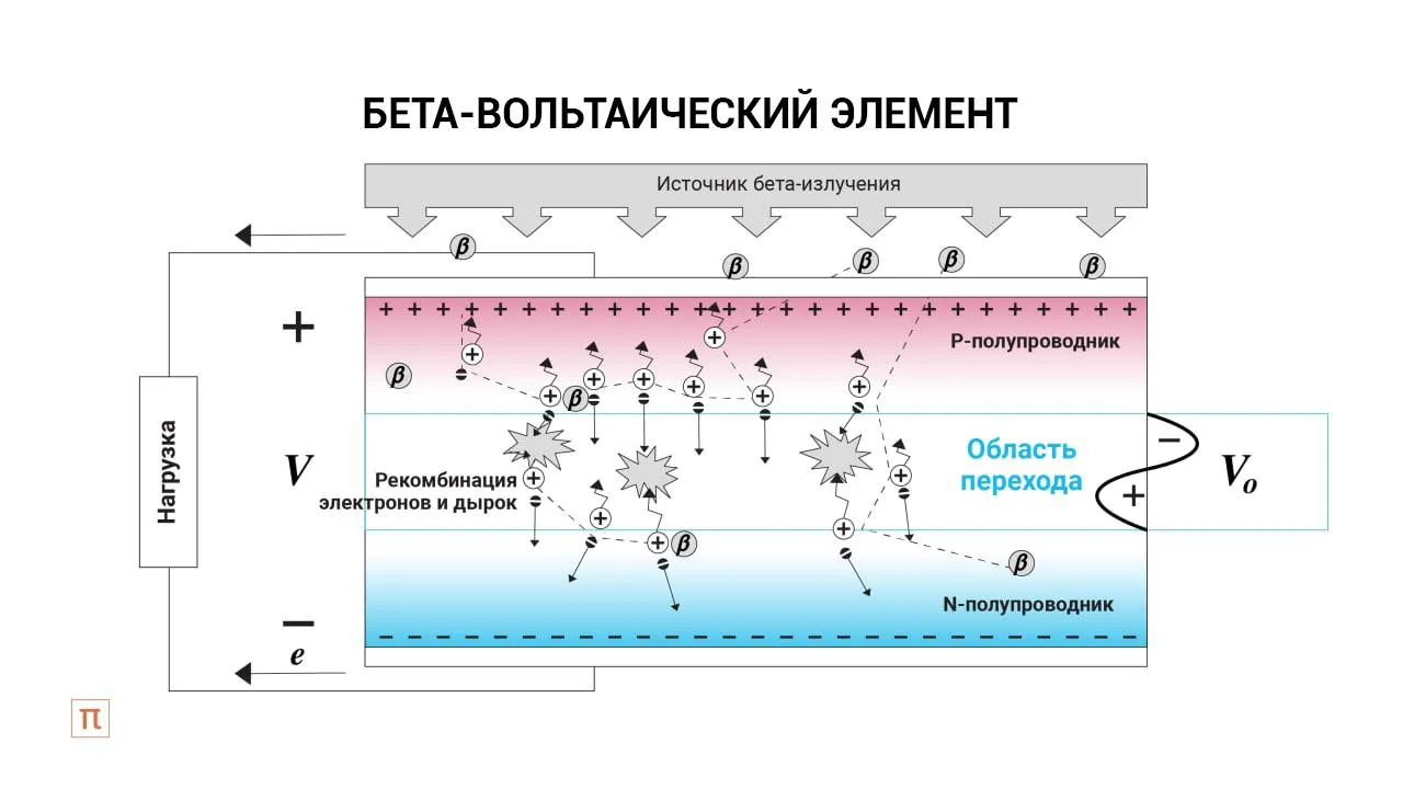 Катерина Золотарева для ПостНауки