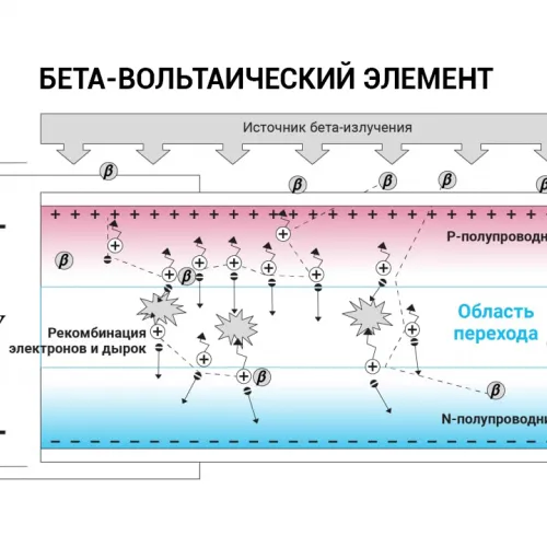 Катерина Золотарева для ПостНауки