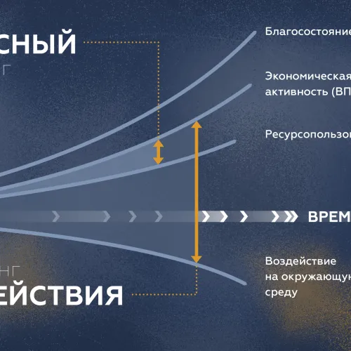 Юлия Кузьмина для ПостНауки