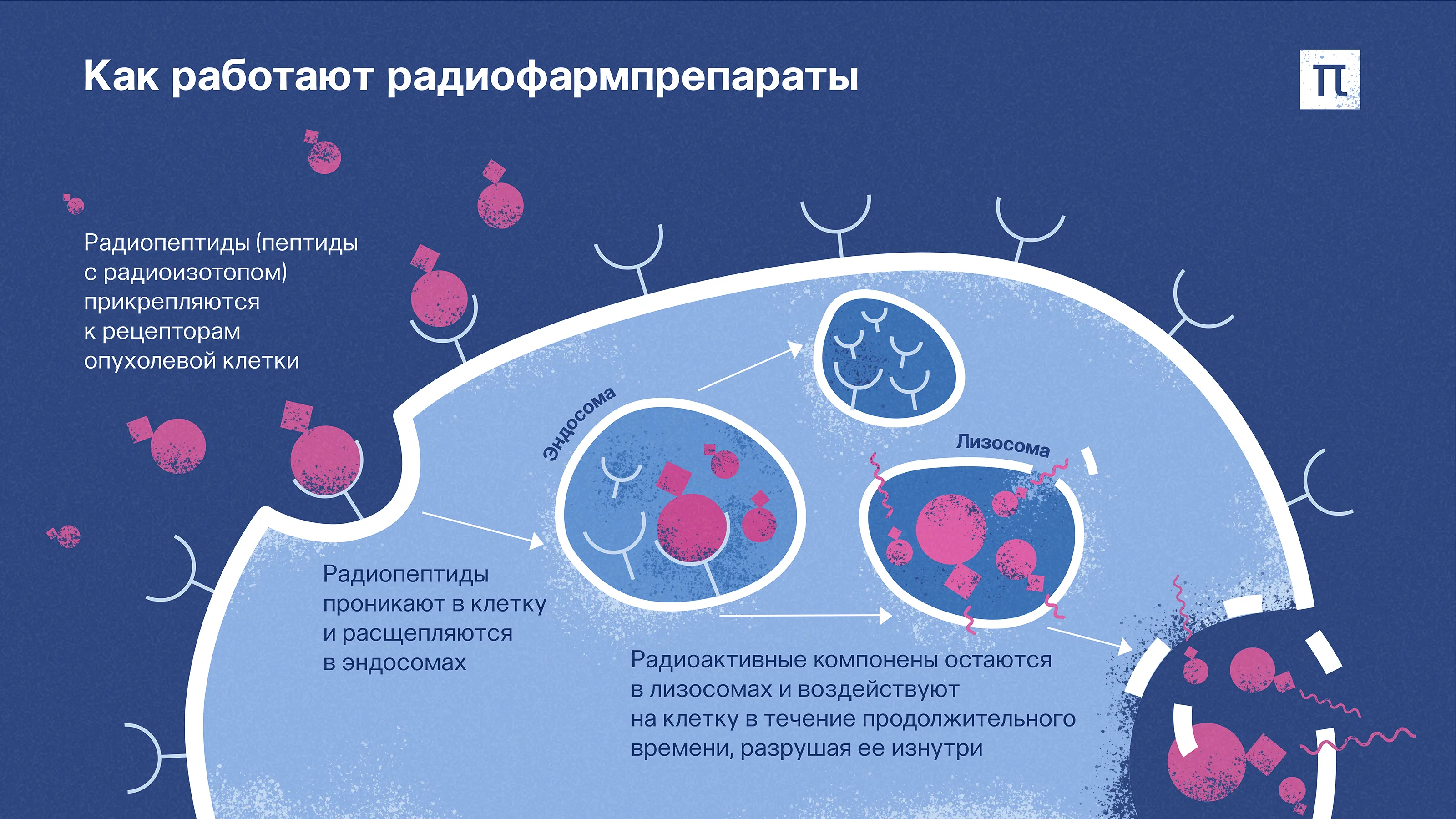 Рецепторные радиофармпрепараты