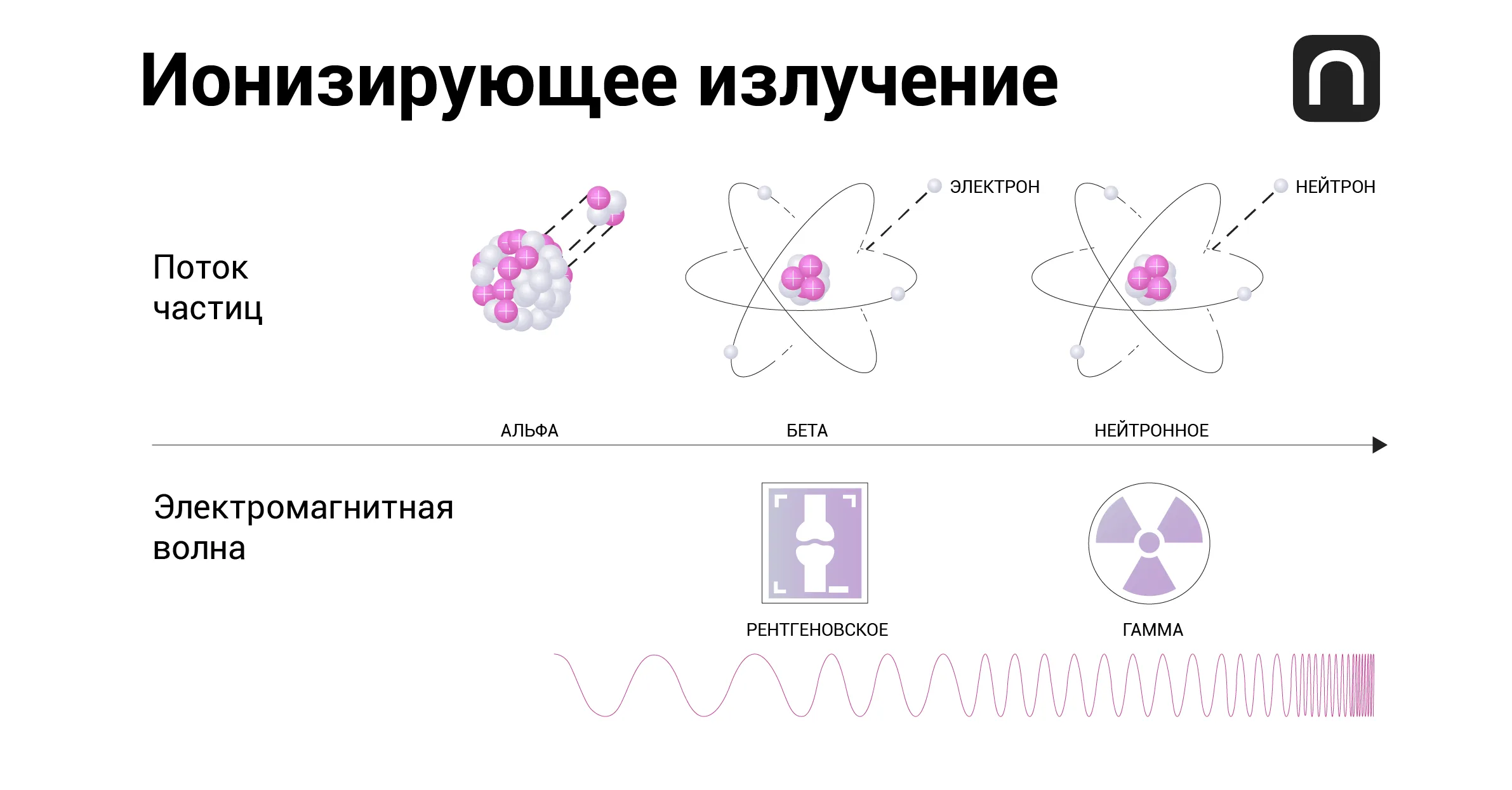 Юлия Кузьмина для ПостНауки