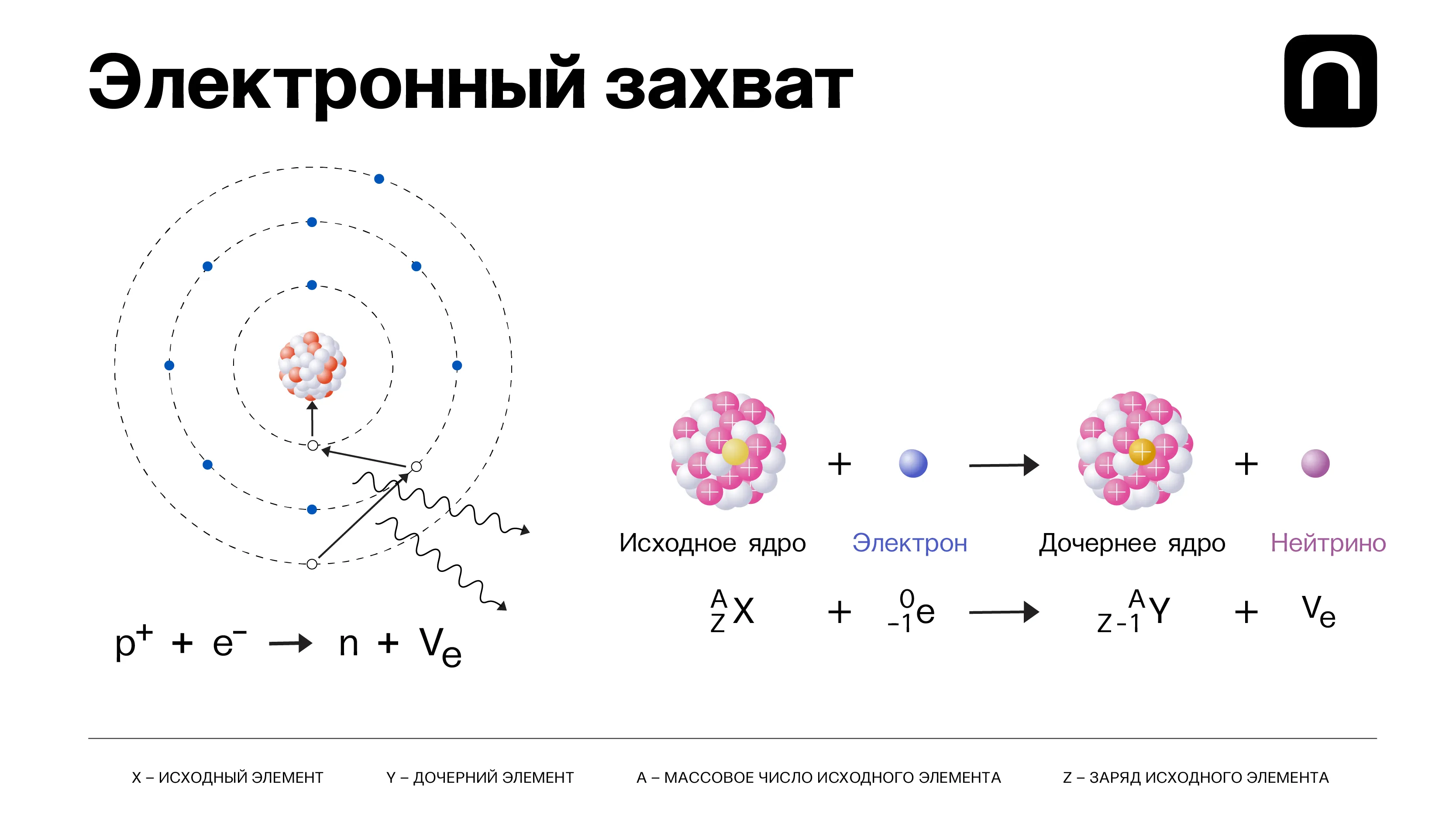 Катя Золоторева для ПостНауки