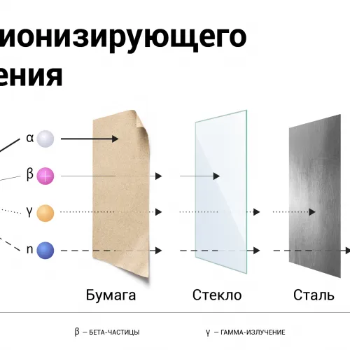 Юлия Кузьмина для ПостНауки