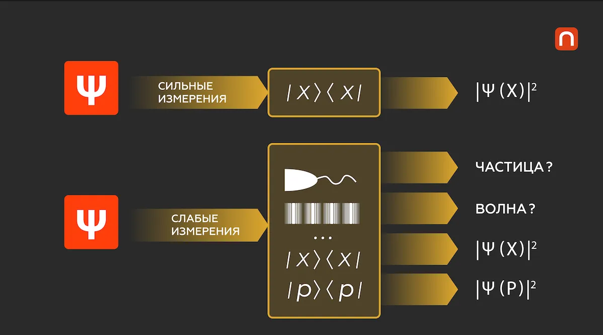 Юлия Кузьмина для ПостНауки