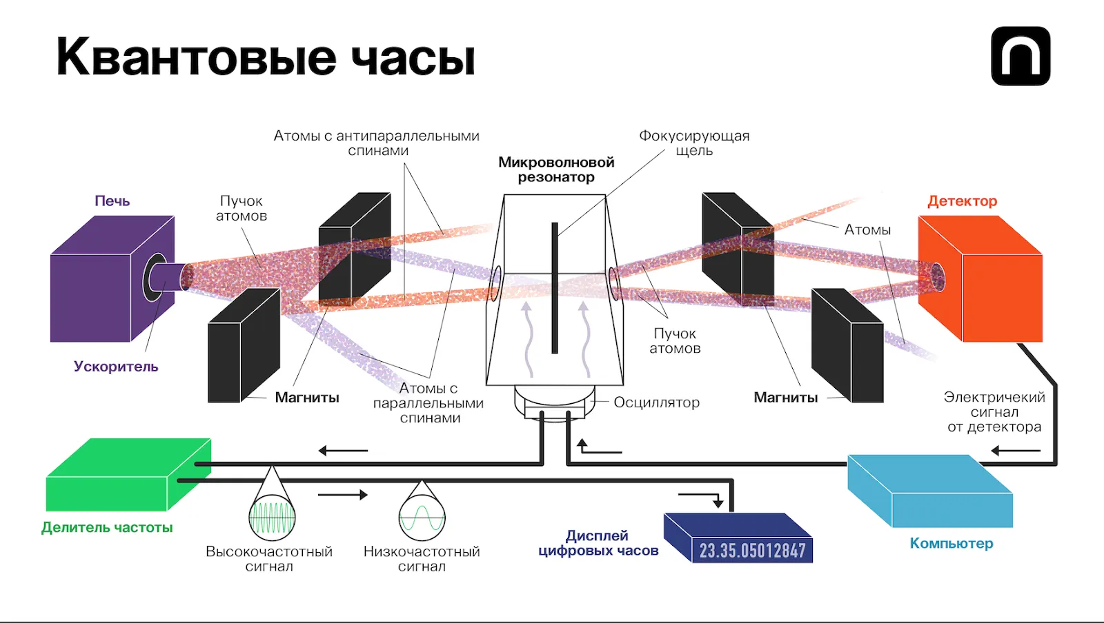 Екатерина Золоторёва для ПостНауки