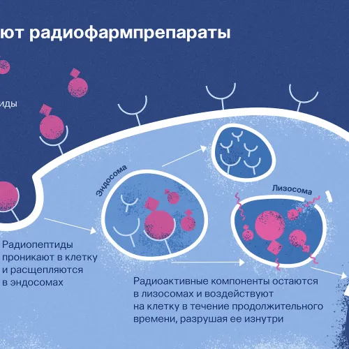 Рецепторные радиоактивные препараты