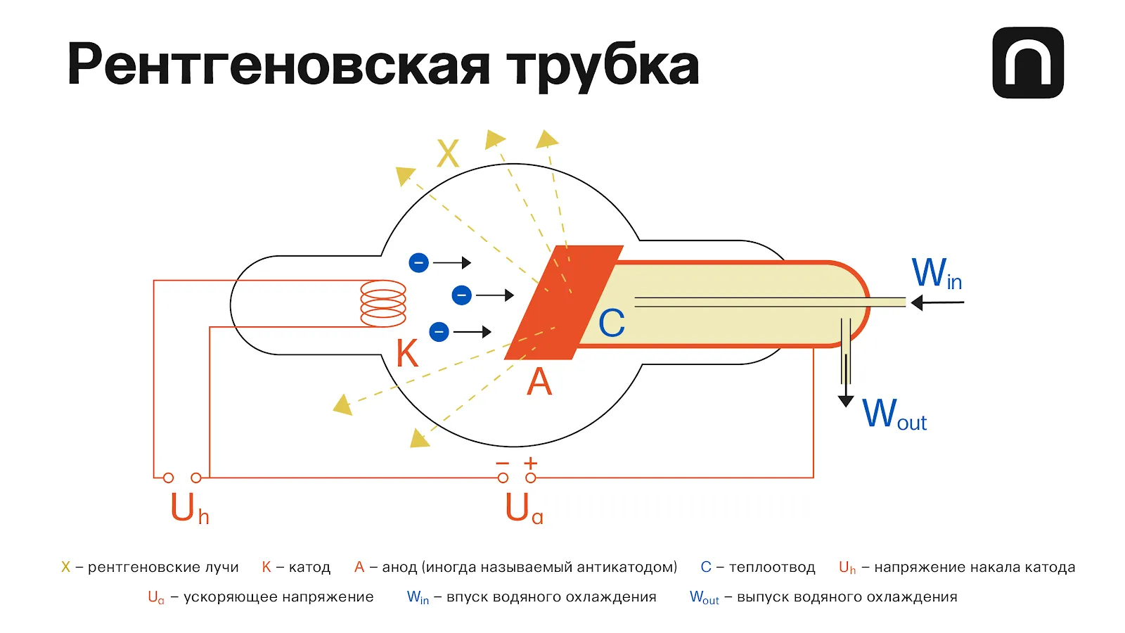 Екатерина Золоторёва для ПостНауки