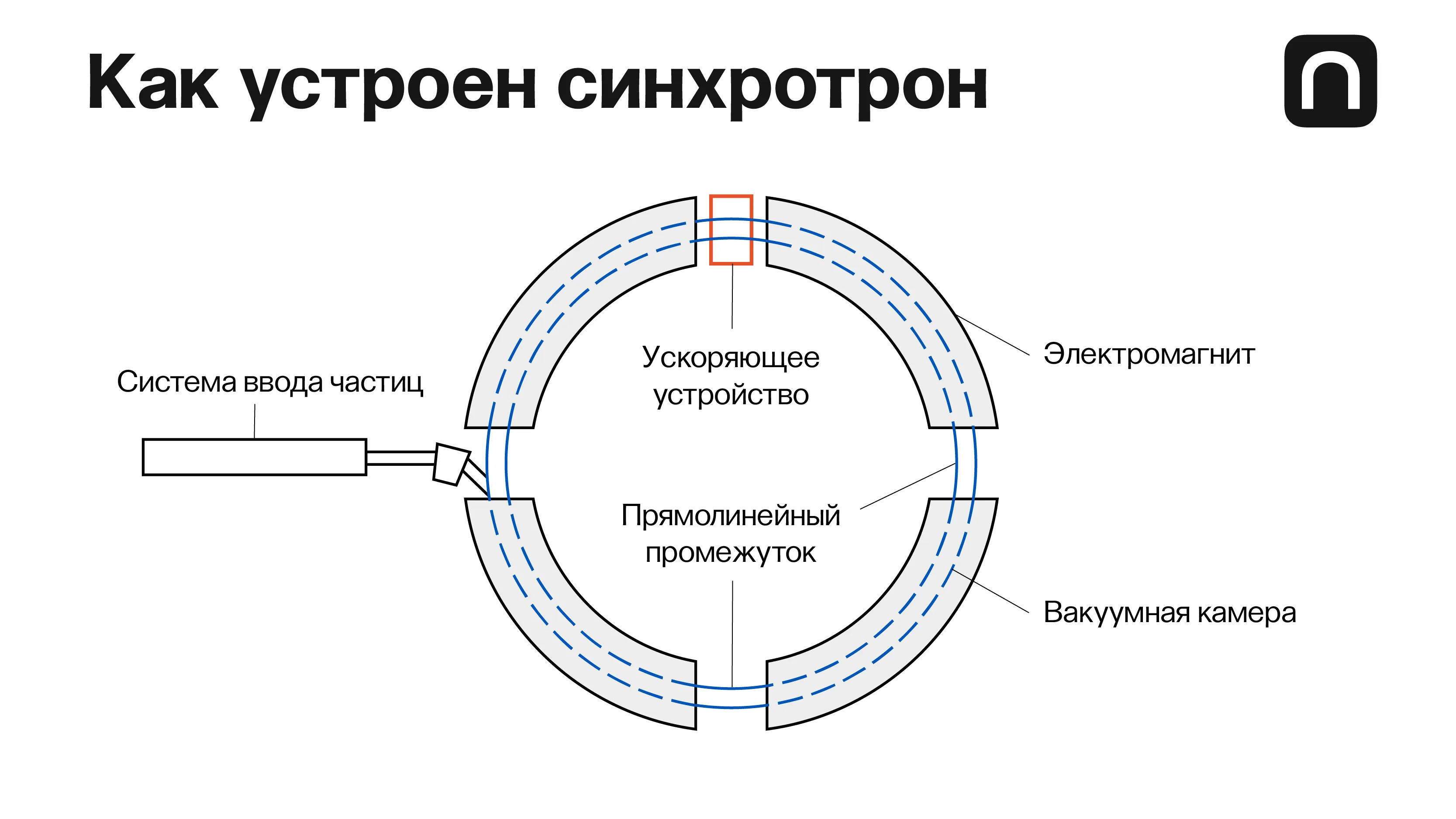 Екатерина Золоторёва для ПостНауки