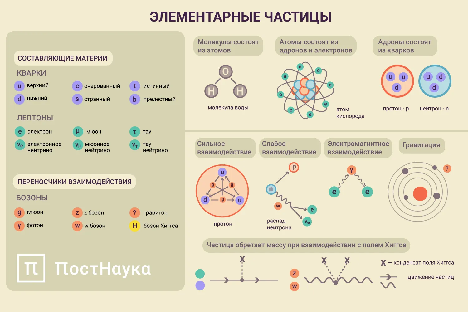 Ксения Рыкова для ПостНауки