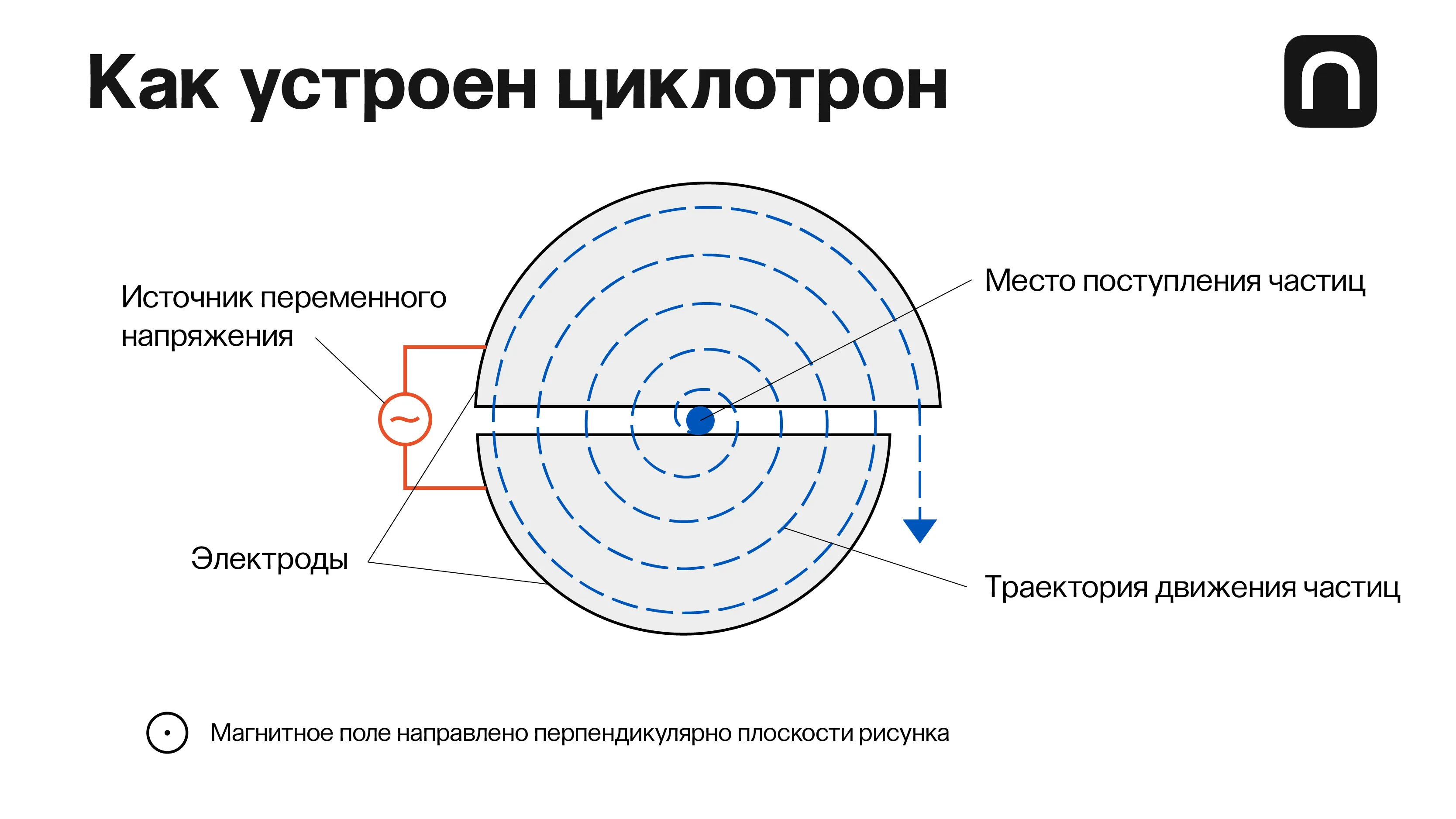Катя Золотарёва для ПостНауки