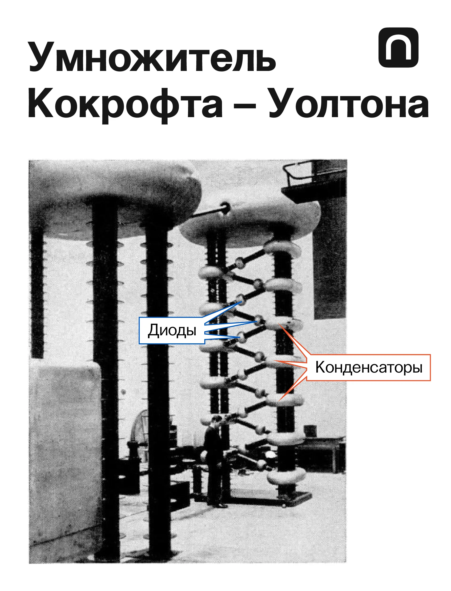 Катя Золотарёва для ПостНауки
