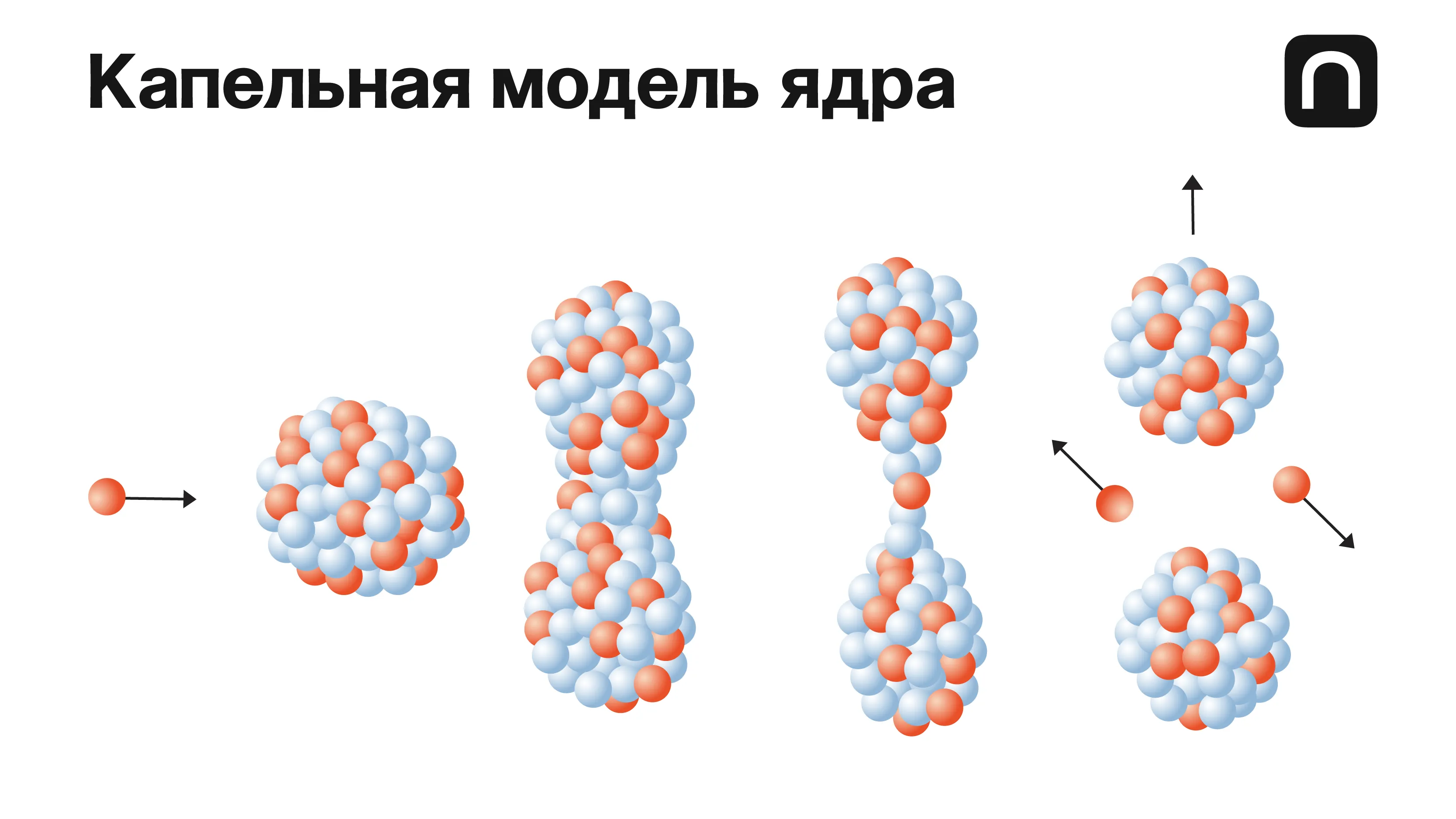 Катя Золотарёва для ПостНауки