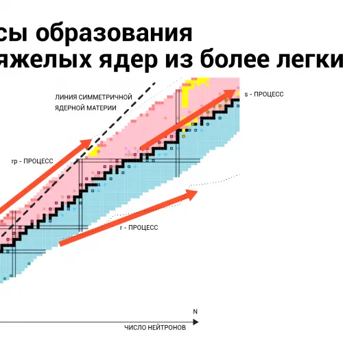 Юлия Кузьмина для ПостНауки