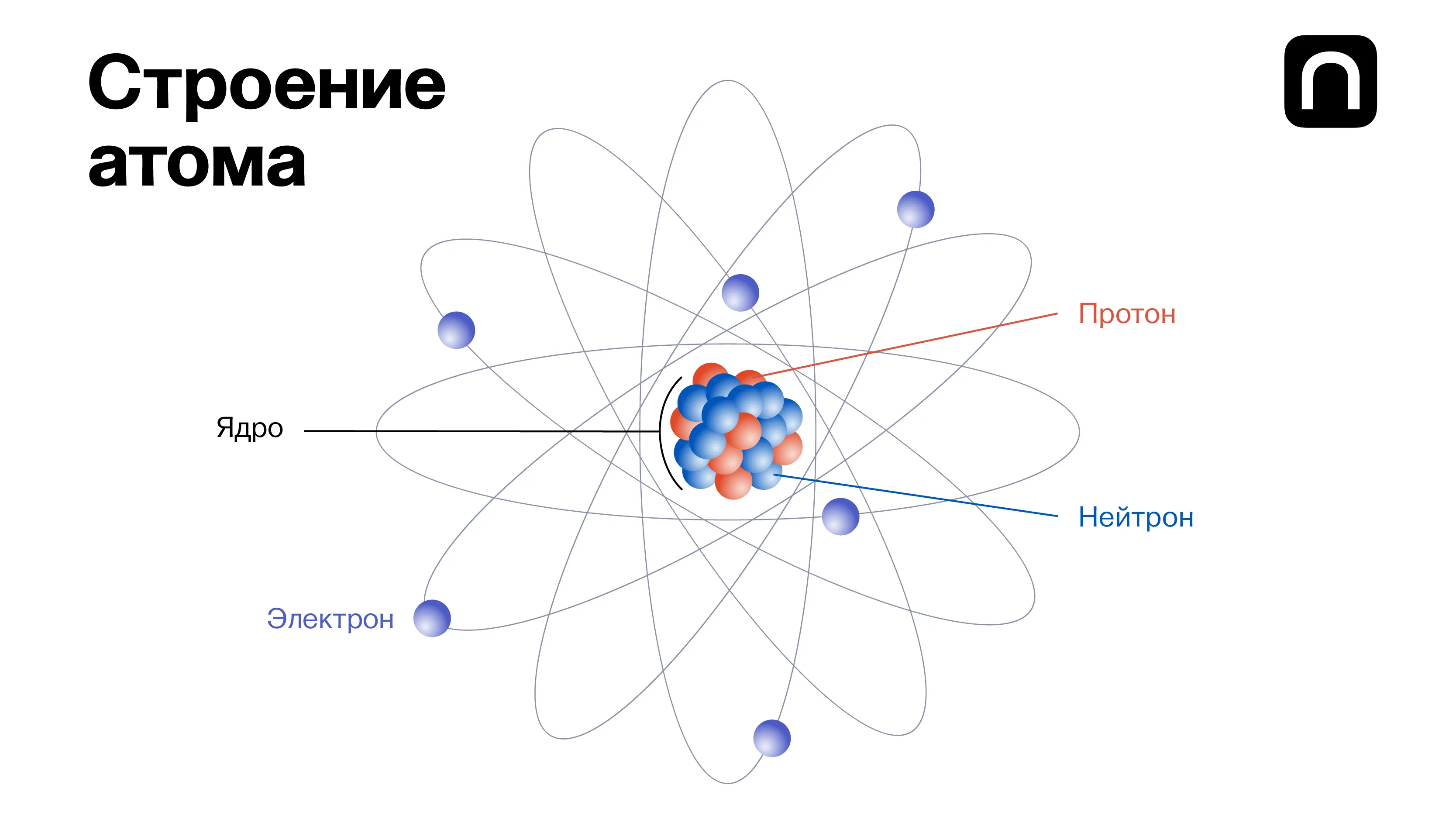 Катя Золотарёва для ПостНауки