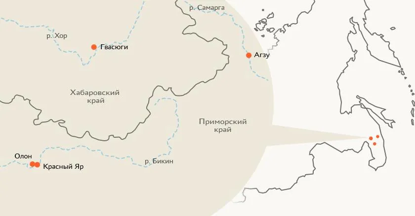 Лонгриды: Удэгейский язык