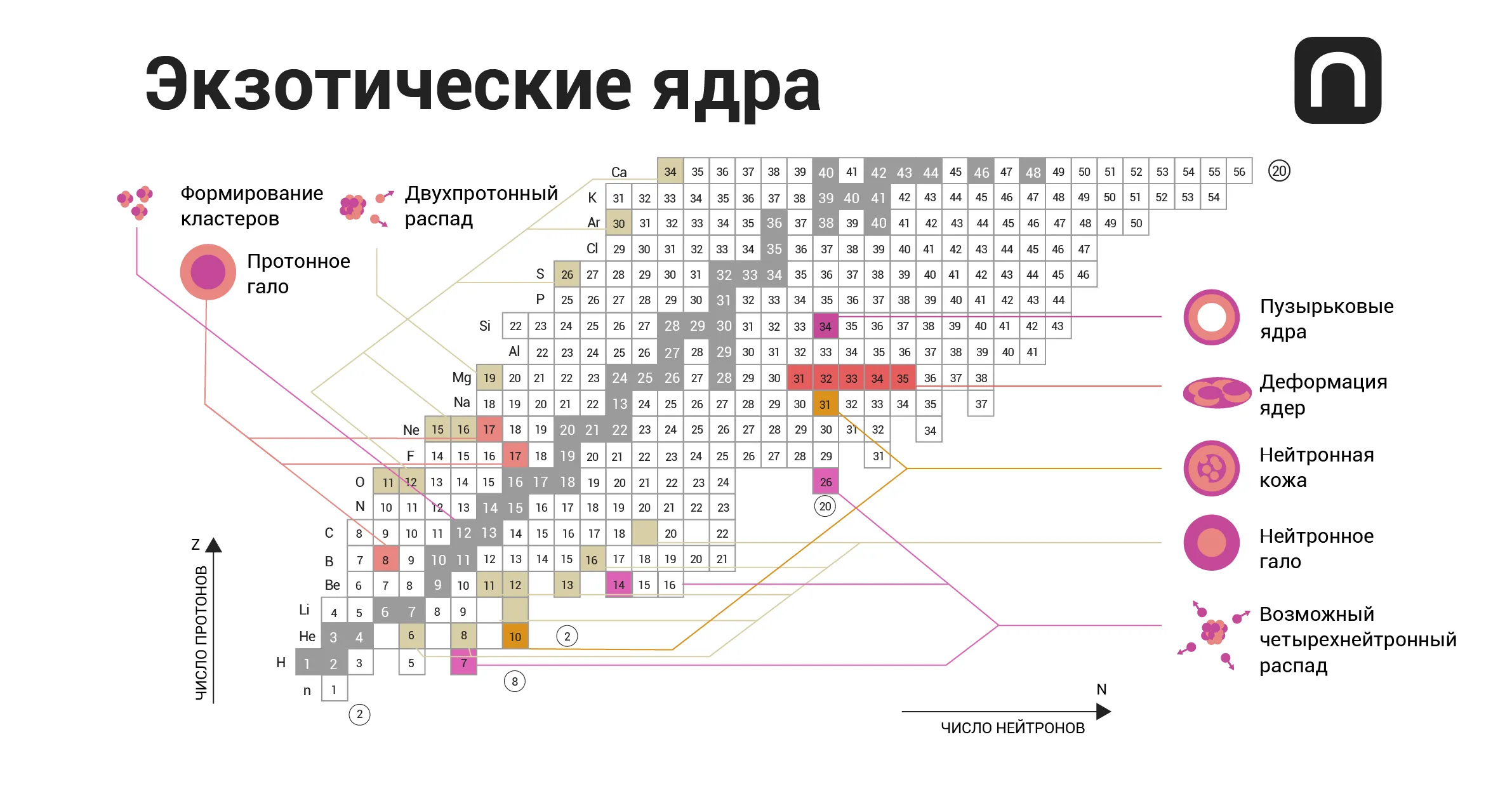 Юлия Кузьмина для ПостНауки