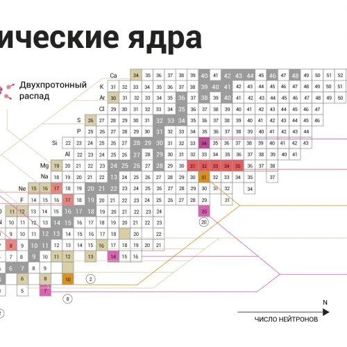 Юлия Кузьмина для ПостНауки