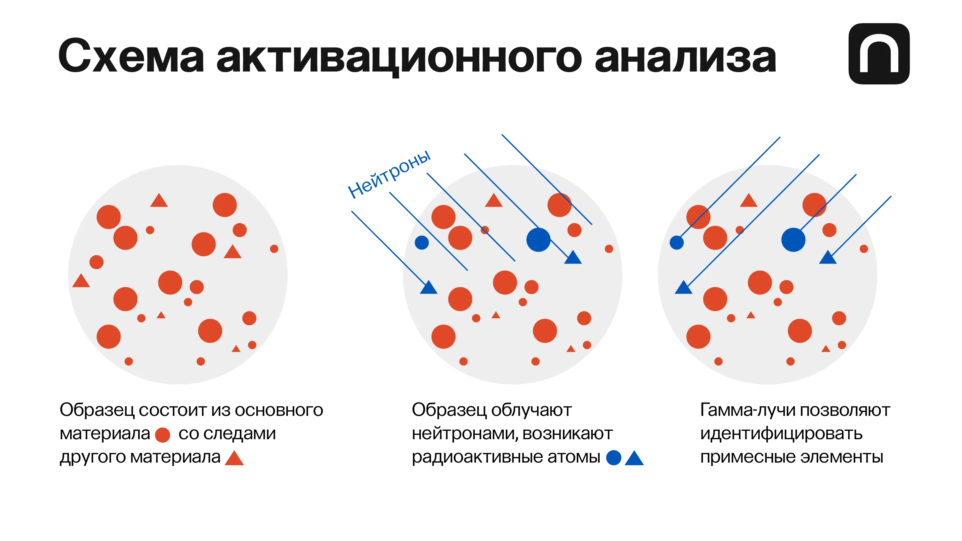 Катя Золотарёва для ПостНауки