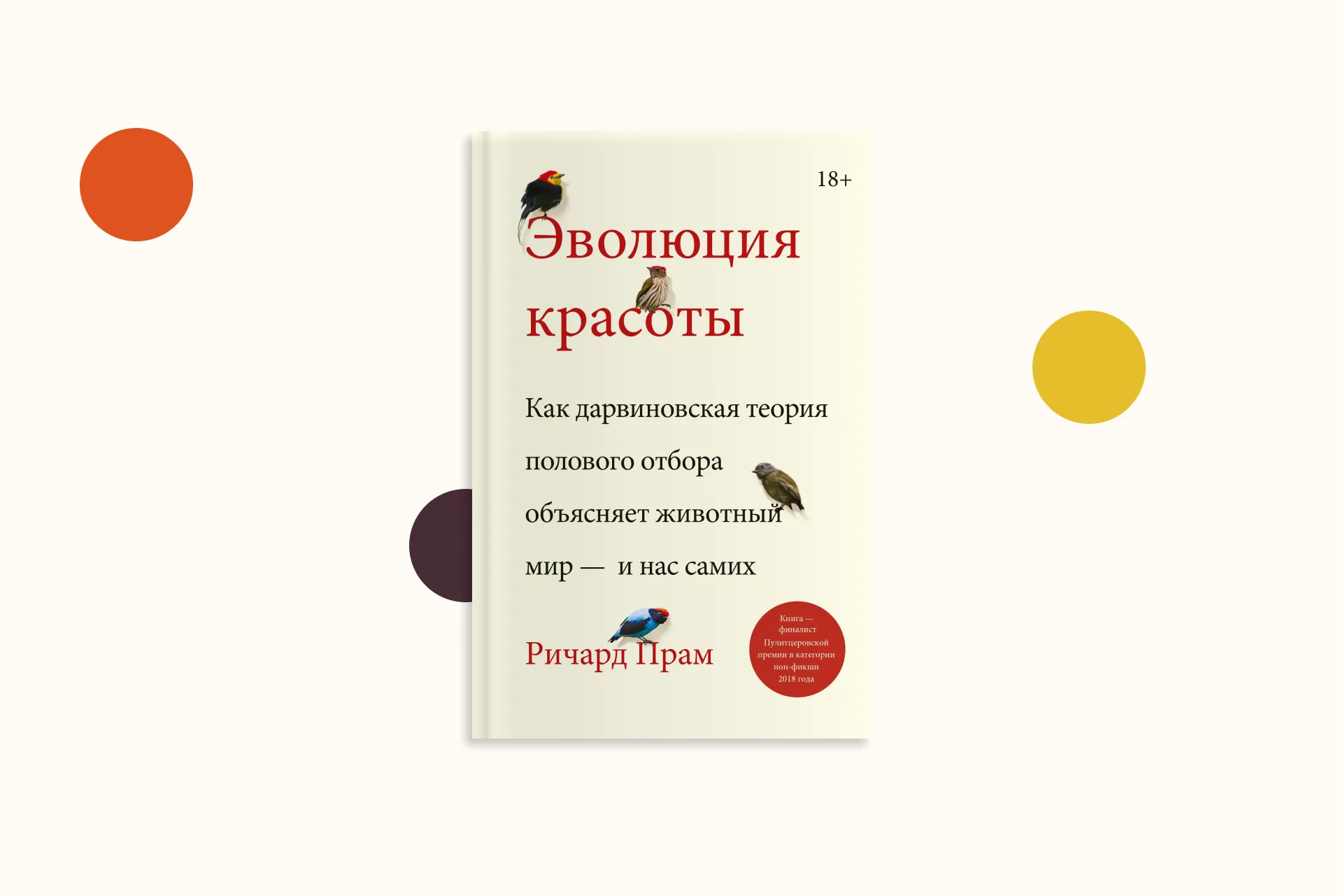 Главы: Красота без причин