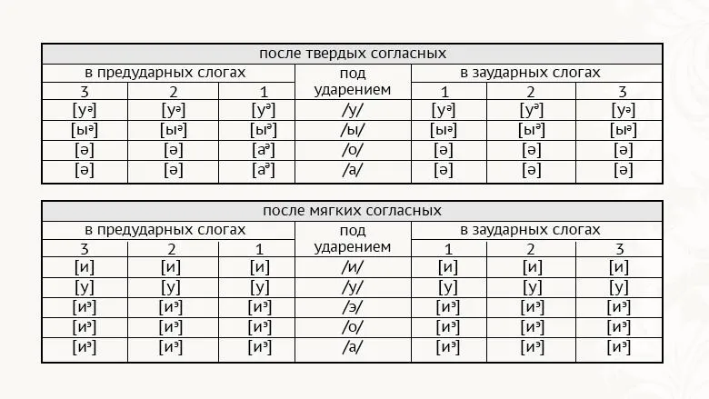 Лонгриды: Русский язык