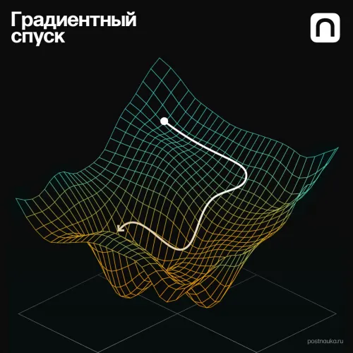 Катя Золотарёва для ПостНауки