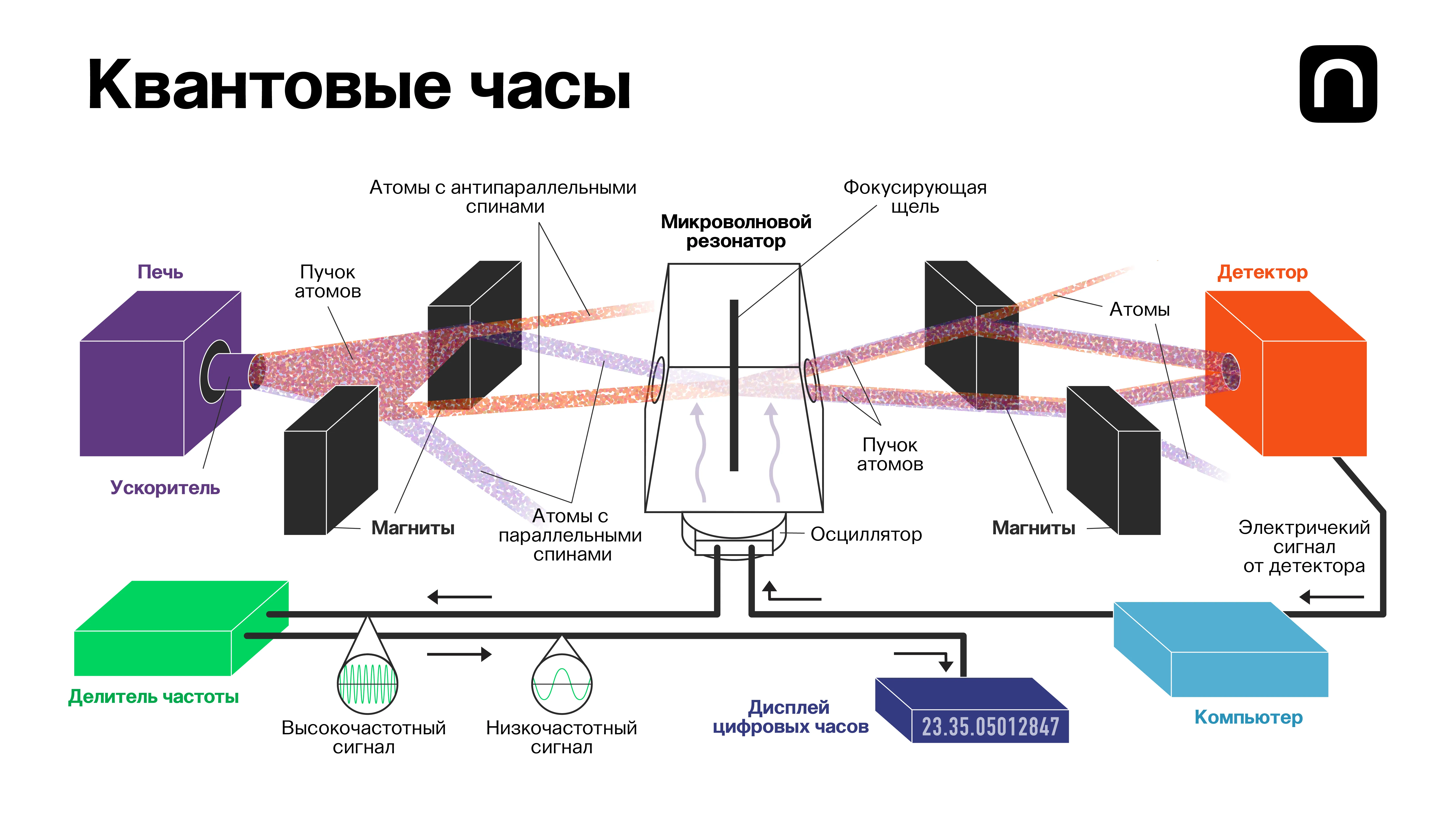 Катя Золотарёва для ПостНауки