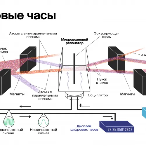 Катя Золотарёва для ПостНауки