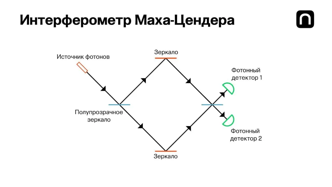 Катя Золоторева для ПостНауки