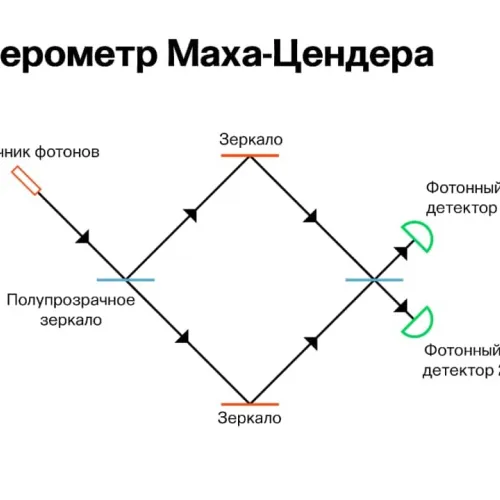 Катя Золоторева для ПостНауки