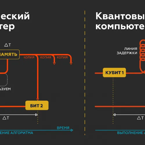 Юлия Кузьмина для ПостНауки