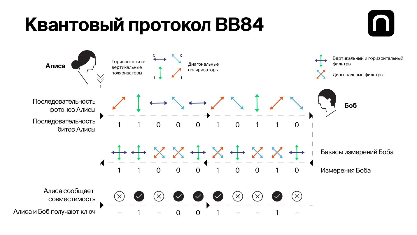 Катя Золотарёва для ПостНауки