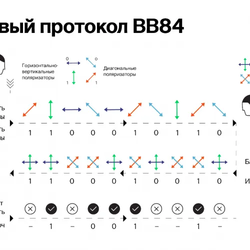 Катя Золотарёва для ПостНауки