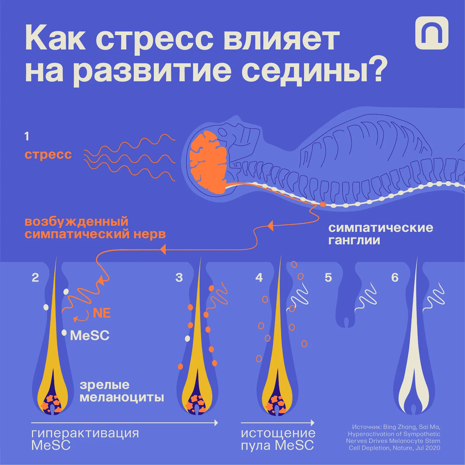 Катя Золотарёва для ПостНауки