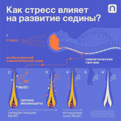 Катя Золотарёва для ПостНауки